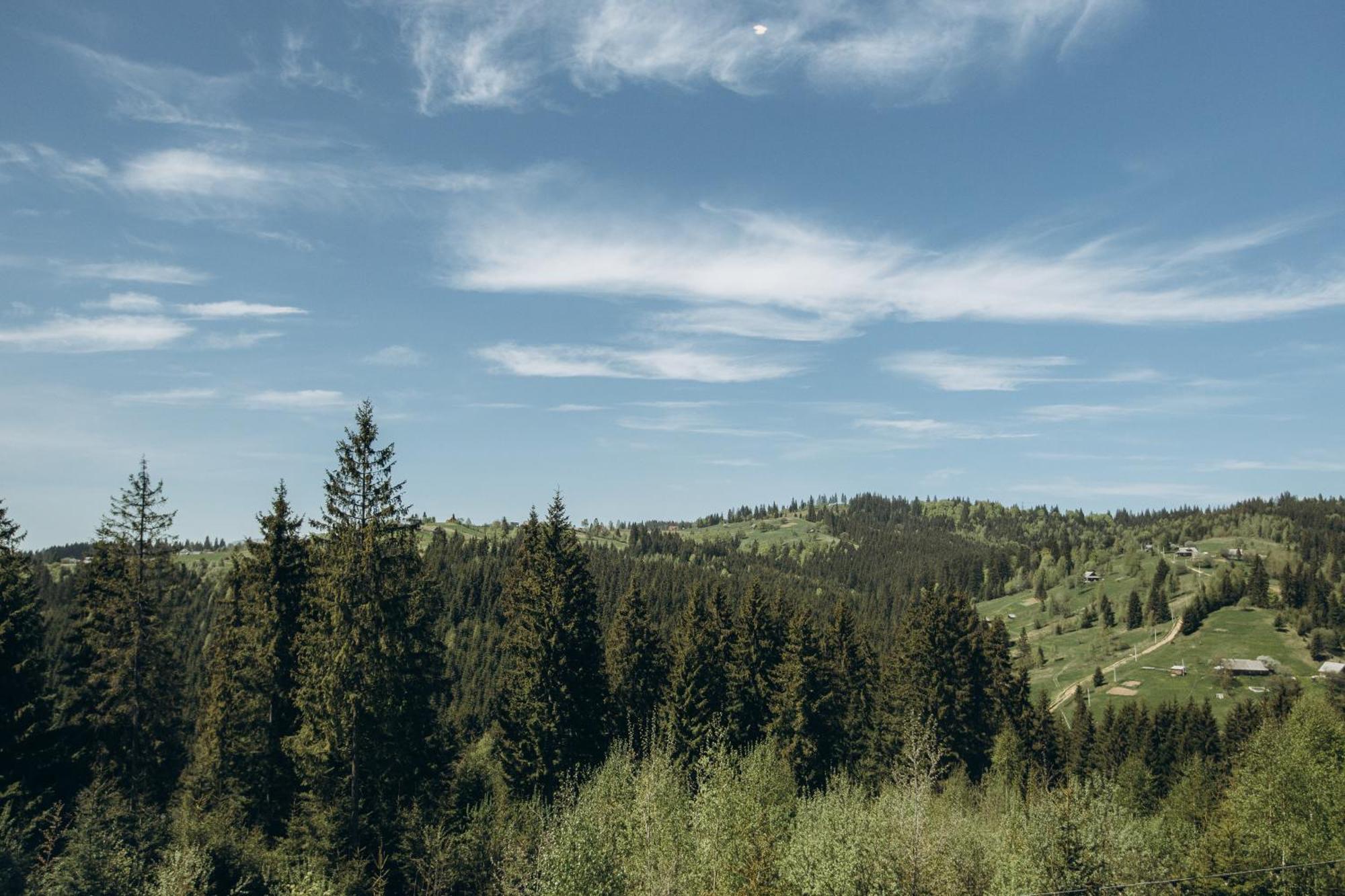 Skogur - Home & Resort Bukovel Eksteriør bilde
